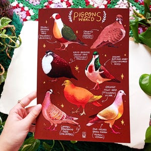 Poster di piccioni stampa artistica con specie di uccelli piccioni decorazione da parete per camera da letto arte colomba poster scientifico per ornitologo regalo per amante degli uccelli