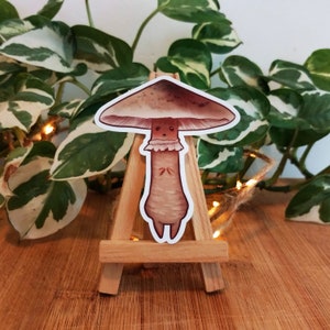 Niedlicher Regenschirm-Pilz-Aufkleber für Laptop-Aufkleber, Biologie-Kunst, dekoratives Aufkleber-Set für Pilzliebhaber, Geschenk, Pilzliebhaber, Mykologie-Aufkleber
