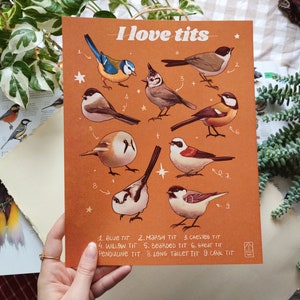 Impresión artística de especies de tetas, aves, ornitología, ilustración, fauna, póster para salón, estética cottagecore, regalo para amantes de las aves, arte de pared para amantes de los animales