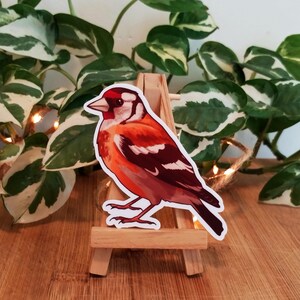 Bellissimo adesivo per cardellino per laptop, confezione di adesivi decorativi per uccelli, regalo per amanti degli uccelli, adesivo per ornitologia, birdwatching