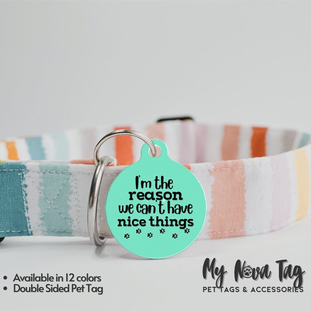 Funny Dog Tag Sayings Personalized Funny Pet Name Tag Funny Dog Tag Dog