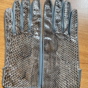 Gants vintage pour femmes des années 1950 en cuir de python italien en peau de serpent garniture bleue Cabrito taille 7