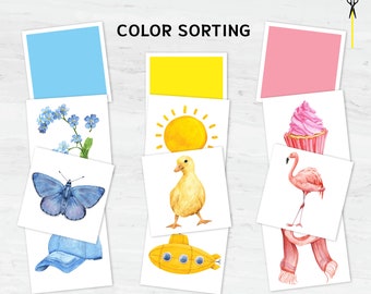 Montessori Color Sorting Printable Cards: Toddler's 12-Color Recognition and Sorting Activity Set