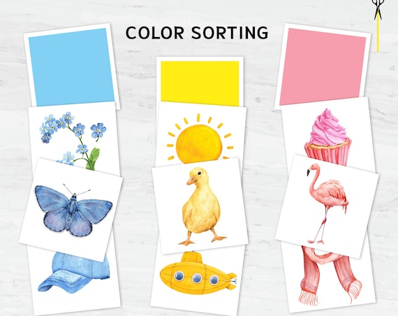 Montessori Color Sorting Matching Game: Toddler's 12-Color Recognition and Matching Activity Printable Set