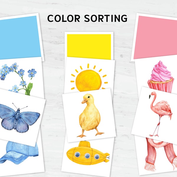 Montessori Color Sorting Printable Cards: Toddler's 12-Color Recognition and Sorting Activity Set