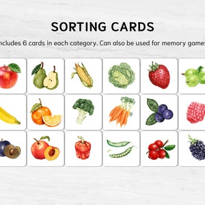 Preschool Category Sorting Activity. Printable Montessori Math ...
