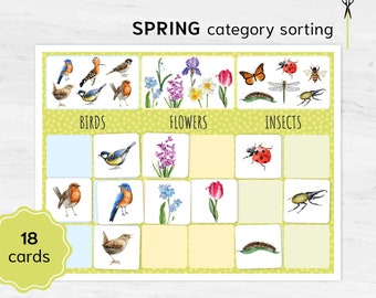 Preschool Category Sorting activity Spring themed. Printable Montessori Math Materials