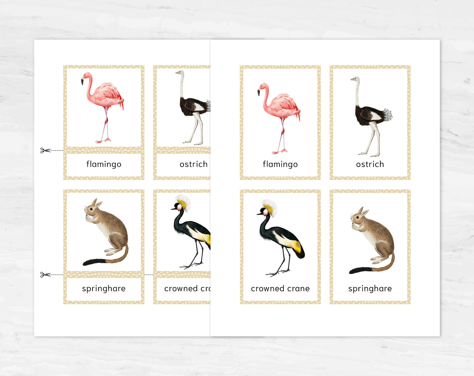 Montessori Animals Printable Flashcards. Homeschooling Educational ...