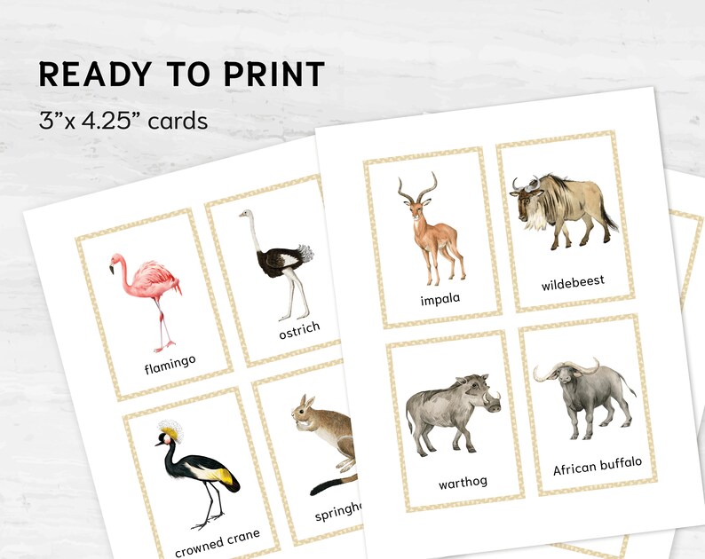 Australian animals Montessori flashcards