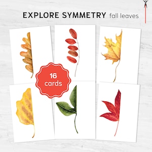 May include: Set of 16 cards featuring watercolor illustrations of fall leaves. The leaves are in various shades of red, yellow, and green. The cards are perfect for a symmetry activity.