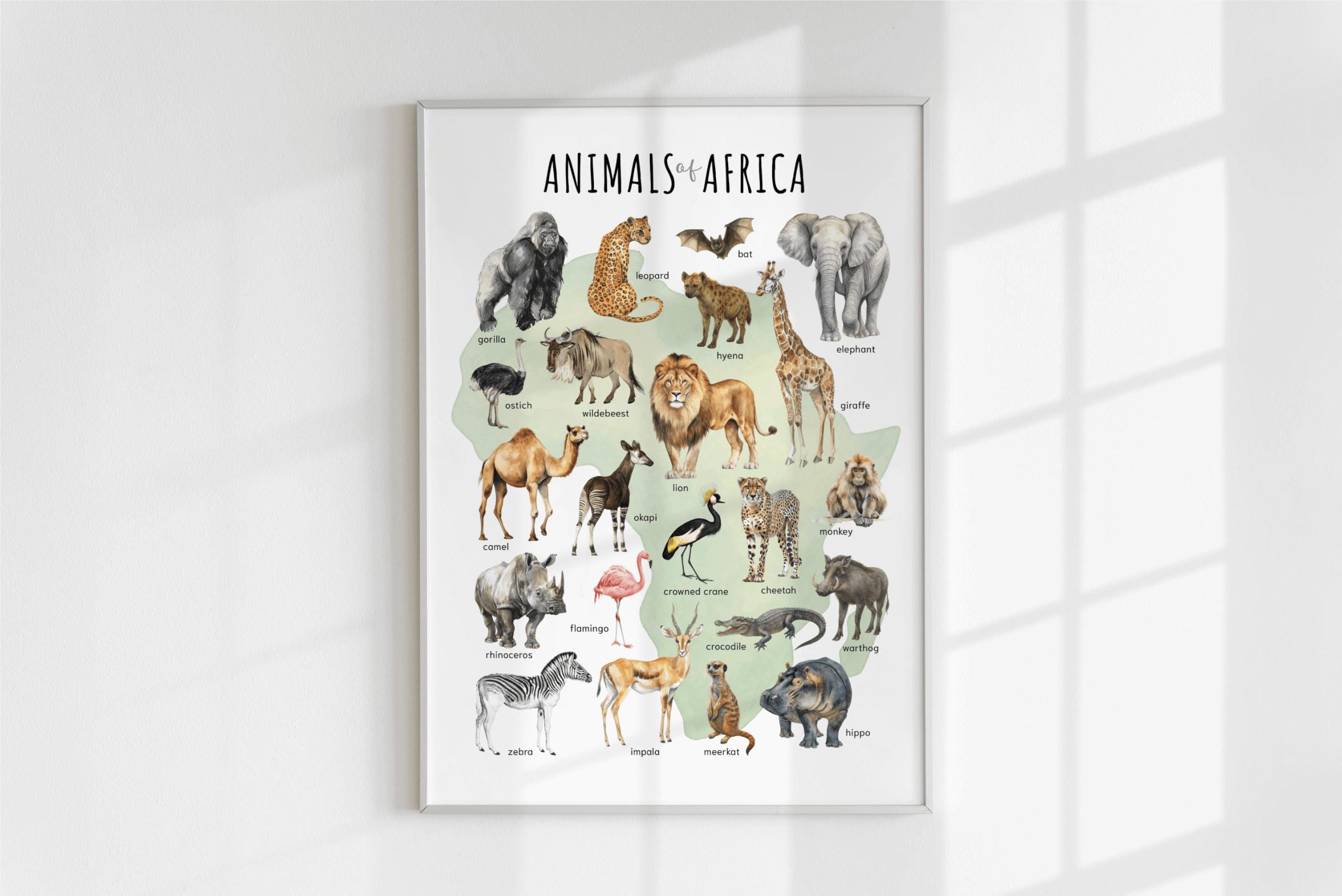 Animals of Africa Educational Poster – Watercolor Wildlife Map