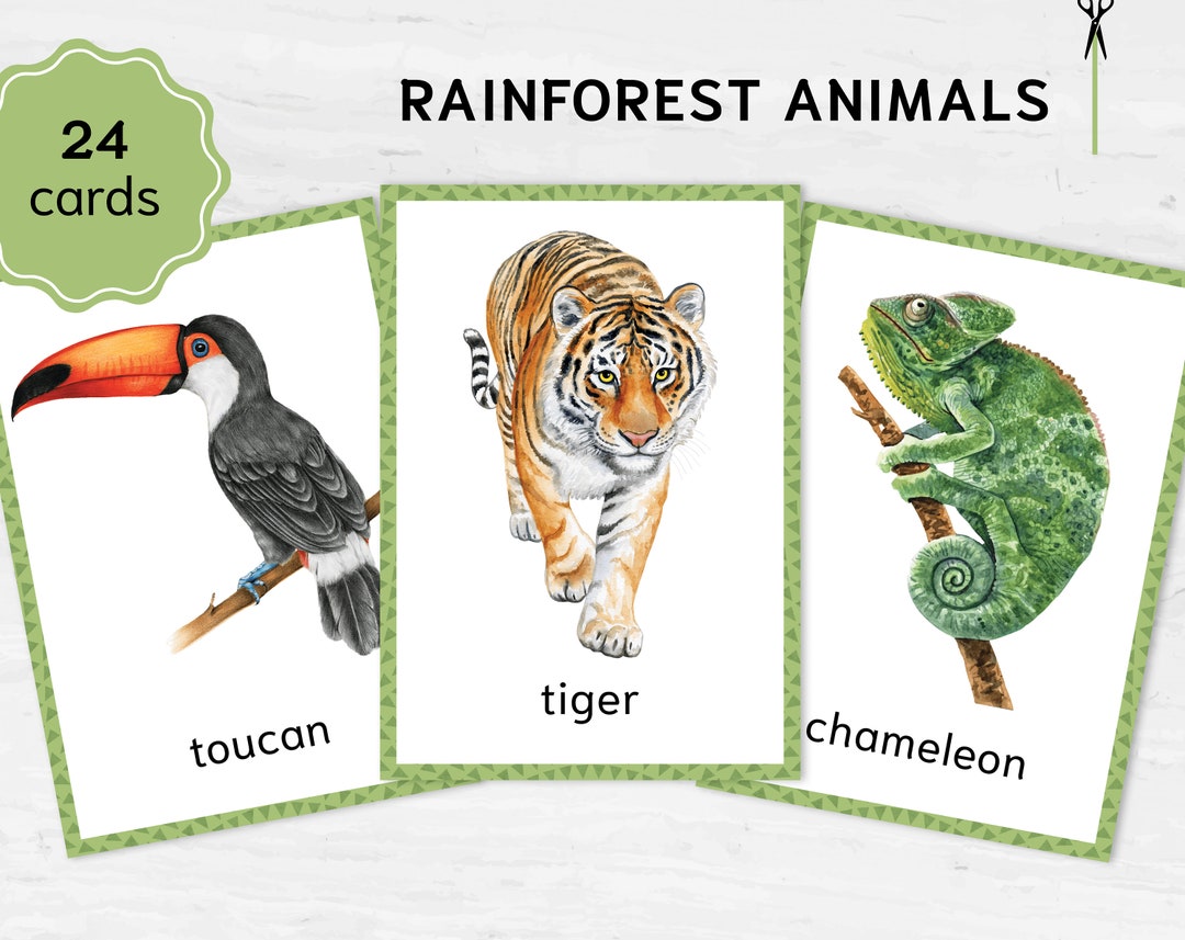 Jungle animals Montessori printable flashcards. Homeschooling - Etsy España