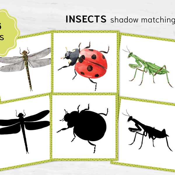 Insects shadow matching cards. Montessori-based learning activity.