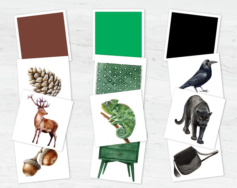 May include: A collage of watercolor illustrations featuring a deer, a chameleon, a pine cone, a crow, a panther, a green rug, a green nightstand, and a brown satchel.