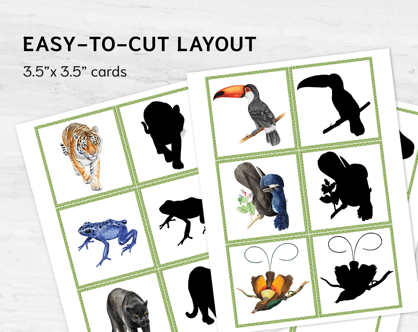 Rainforest Animal Shadows: Jungle Montessori Match, Exotic Wildlife Silhouette Game - Etsy