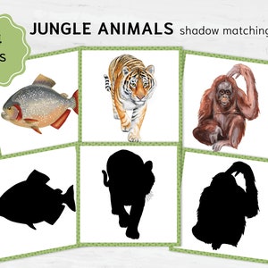 Correspondência de sombras de animais da floresta tropical: atividade de correspondência Montessori na selva, jogo de silhuetas de animais selvagens exóticos
