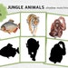 Rainforest Animal Shadows: Jungle Montessori Match, Exotic Wildlife Silhouette Game - Etsy