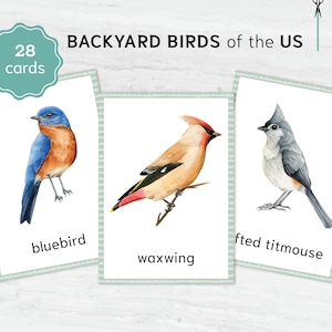 Backyard Birds printable flashcards - Montessori Educational Materials. Nomenclature Watercolor 3 part cards.