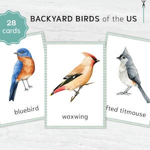 Backyard Birds printable flashcards. Montessori Educational Materials. Nomenclature Watercolor 3 part cards.