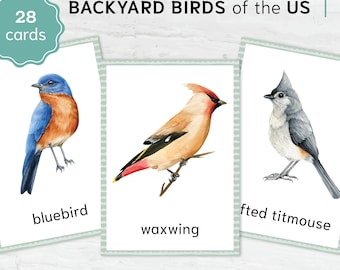 Tarjetas imprimibles de Aves de Jardín - Materiales Educativos Montessori. Tarjetas de acuarela de 3 partes con nomenclatura.