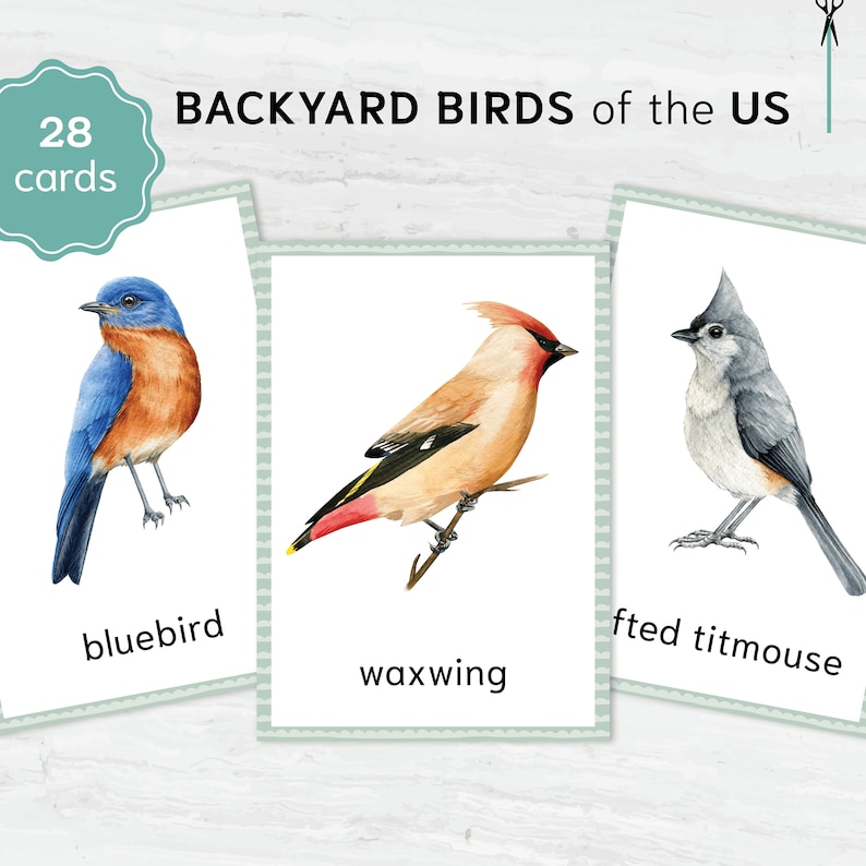 Backyard Birds Printable Flashcards - Montessori Educational Materials ...