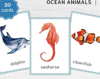 Tarjetas de animales marinos para el aprendizaje Montessori: recurso educativo para la educación en casa, tarjetas de nomenclatura con acuarela