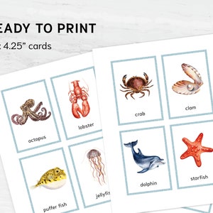 montessori ocean animals flashcards