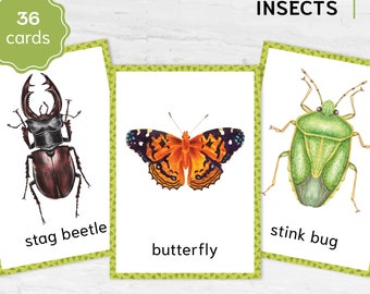 Montessori Insects Flash Cards | Printable Watercolor Insect Education & Vocabulary Learning | Nomenclature 3-Part Cards