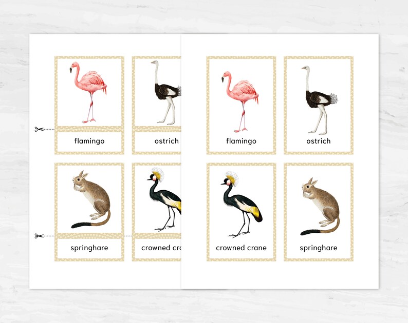 Australian animals Montessori flashcards
