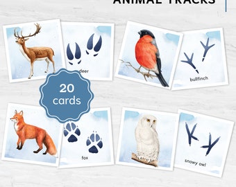 Winter Animal Tracks Matching Game: Montessori Nature Cards with a BONUS Poster (Digital Download)