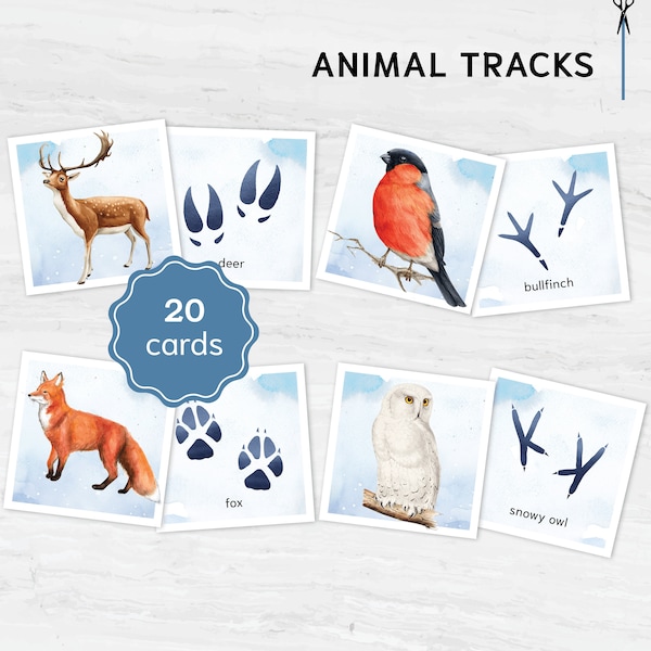 Winter Animal Tracks Adventure: Animal Discovery Game