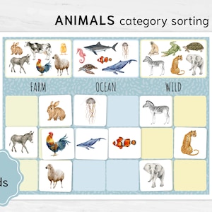 Tierkategorie Sortieraktivität | Druckbares Lernwerkzeug & Frühbildungsressource