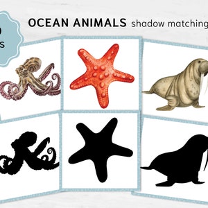 Cartes assorties d'ombre d'océan. Cartes imprimables d'animaux marins à l'aquarelle. Matériel pédagogique Montessori.