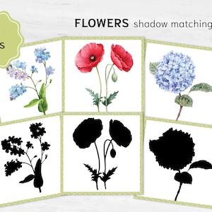 Blumen-Schatten passende Karten. Montessori-basierte Lernaktivität für Kinder im Vorschulalter. Scherenschnitt Spiel mit Blumen.