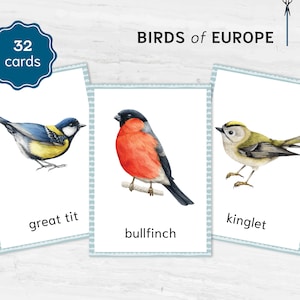 Flashcards imprimables Montessori pour oiseaux. Matériel pour l'école à la maison UK OISEAUX. Nomenclature Cartes aquarellées en trois parties.