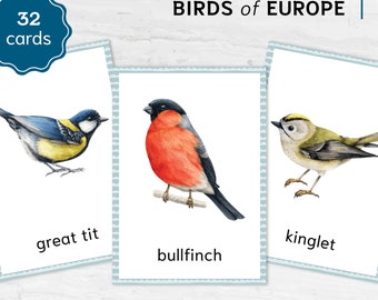 EU Birds Montessori Printable Flashcards. UK BIRDS Homeschool Materials. Nomenclature Watercolor three part cards.