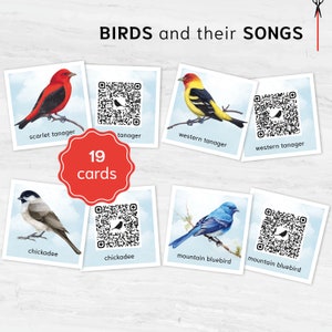 Song Birds QR Quest: US Birds Identification Cards & Their Sounds