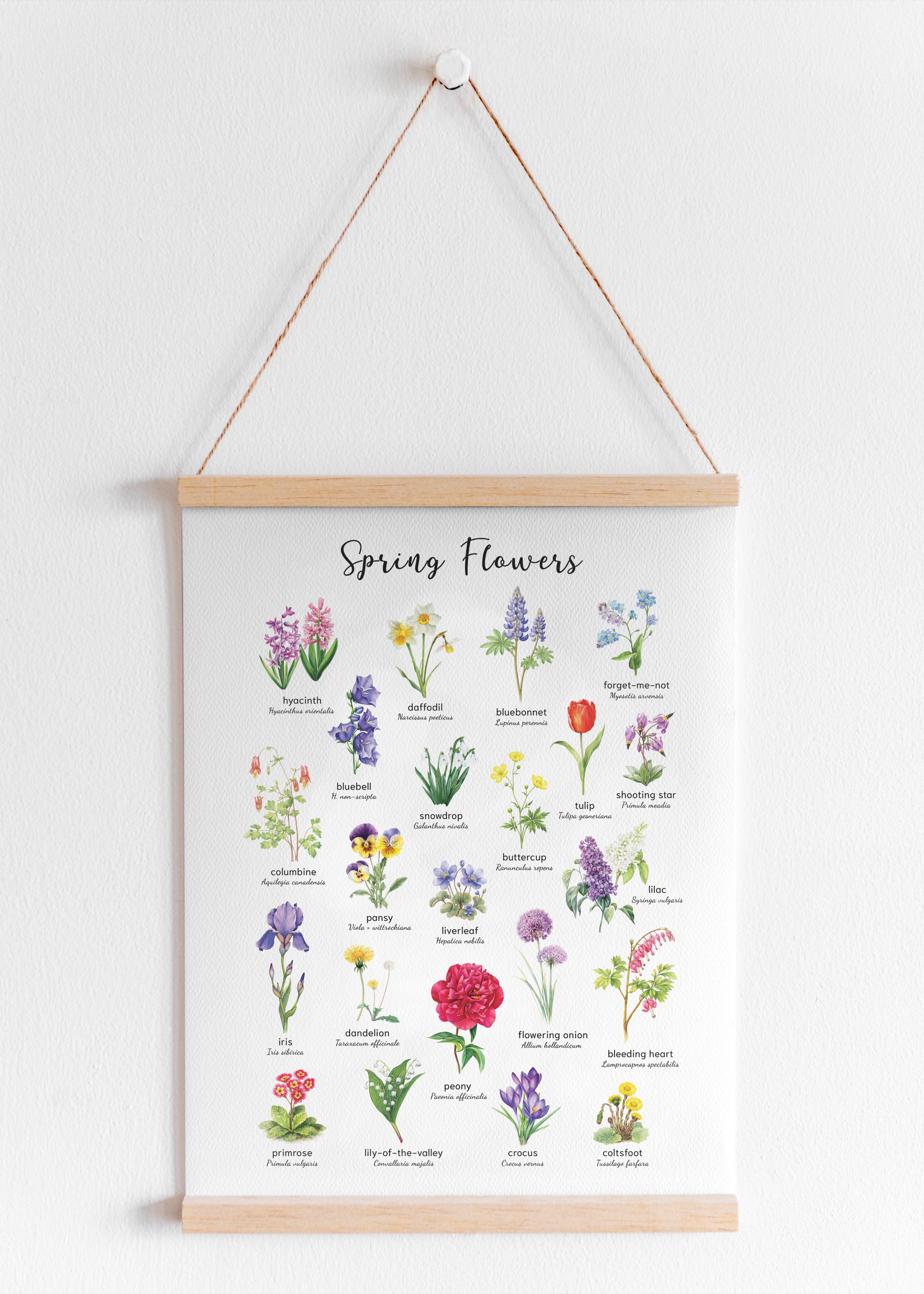 Spring Flowers Botanical Print | Watercolor Floral Wall Art (print ...