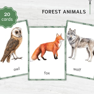 Flashcards d'animaux de la forêt Montessori | Cartes de nomenclature imprimables pour l'apprentissage préscolaire et l'enseignement à la maison