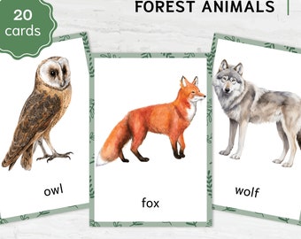 Montessori Forest Animals Flashcards | Homeschool Learning | Nomenclature Cards for Preschool | Digital Educational Materials