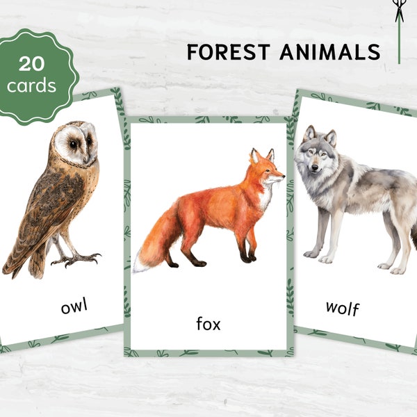 Montessori Forest Animals Flashcards | Homeschool Learning | Nomenclature Cards for Preschool | Digital Educational Materials