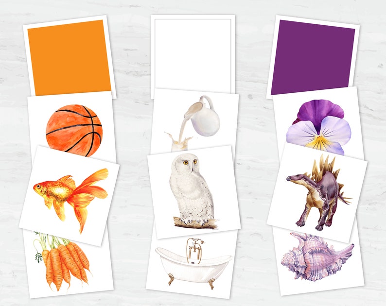 May include: A set of nine watercolor illustrations featuring a variety of objects, including a basketball, a goldfish, carrots, a bathtub, a seashell, a pitcher pouring milk, an owl, a purple pansy flower, and a dinosaur.