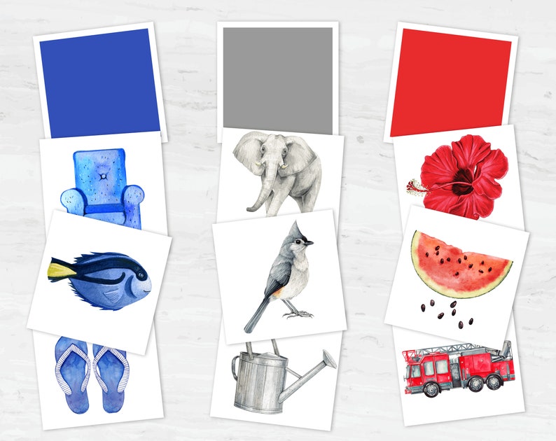 May include: A set of 10 watercolor illustrations featuring various objects, including a blue armchair, a blue fish, a pair of blue flip flops, a gray elephant, a gray bird, a gray watering can, a red hibiscus flower, a red watermelon slice, and a red fire truck.