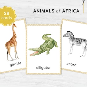 Montessori Animal Flashcards Bundle - Nomenclature Learning Set - Homeschool Educational Tools - Watercolor Prints