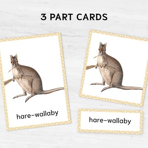 Australian animals Montessori flashcards