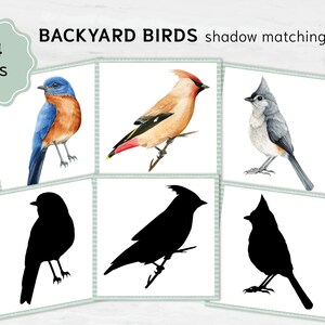 Cartes assorties d'ombre d'oiseau. Matériel pédagogique Montessori. Cartes imprimables d'oiseaux aquarelles des États-Unis.