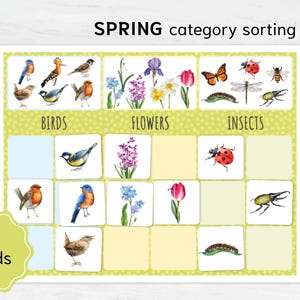 Montessori Math Materials: Spring Category Sorting Activity for Preschool - Printable Learning Resources & Fun Educational Games