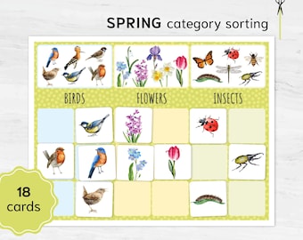 Spring Sorting Game: Montessori Math, Flowers, Birds, Insects (Printable)