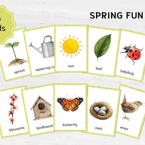 Spring Vocabulary Flashcards: Montessori Educational Materials for Toddlers, Watercolor Printables
