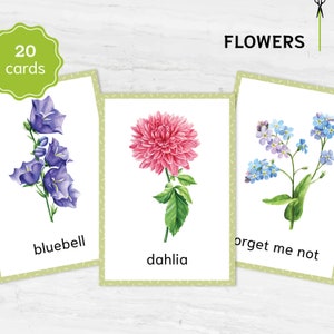 Wydrukowane karty z kwiatami - Montessori Educational Homeschooling Materials - Akwarela 3-częściowe karty edukacyjne